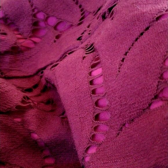 CAbi Plumberry' Lace Skirt - Picture 10 of 11